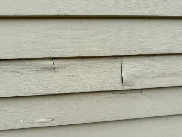 Best Engineered Wood Siding  in Paddock Lake, WI